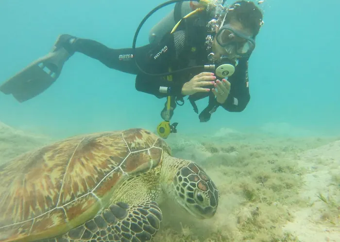Hotel Blue Vision Diving
