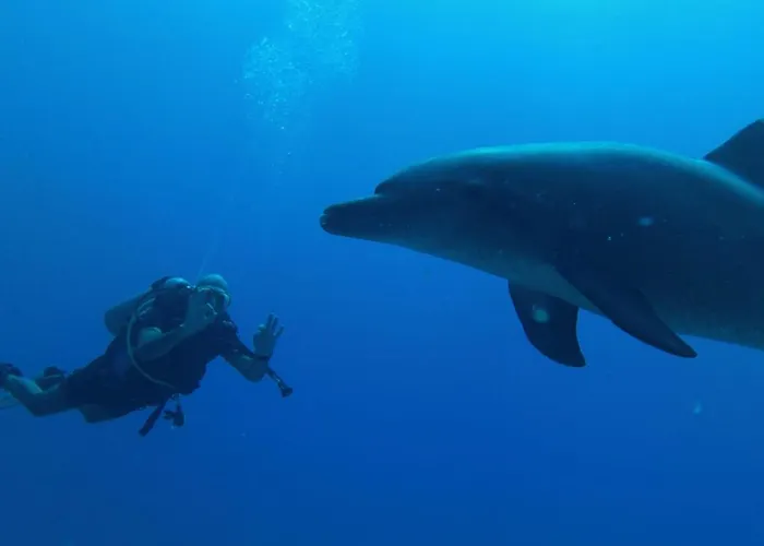 Blue Vision Diving Hotel 3*