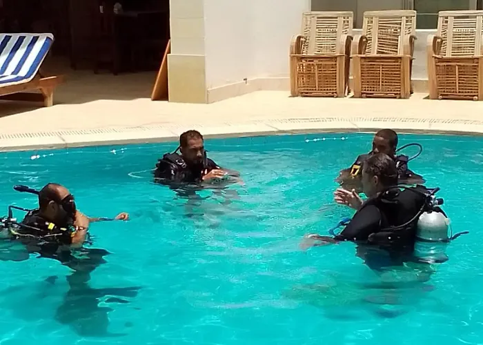 Blue Vision Diving 3* Marsa Alam