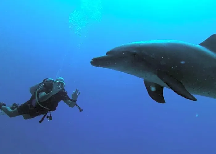 Blue Vision Diving 3*